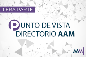 aam-web_opcion3