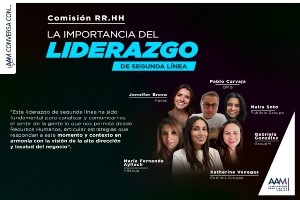 Linkconversa-conweb